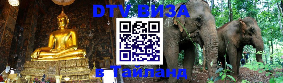 Оформление DTV визы под ключ: стоимость и тарифы, только загранпаспорт - Благовещенск  20.11.2025 